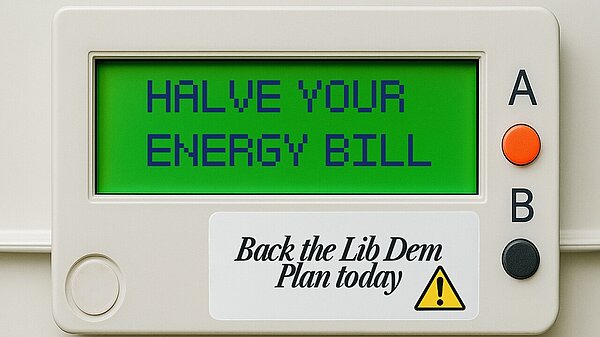 Halve Energy Bills An energy meter mockup which reads "Halve your energy bill" "Back the Lib Dem plan today"
