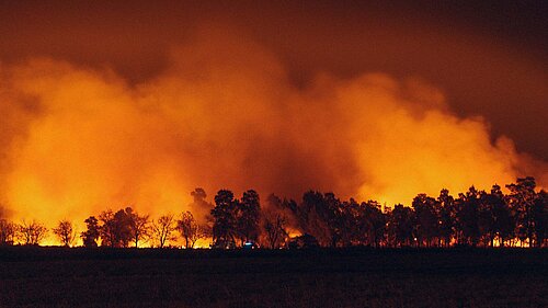 A wildfire
