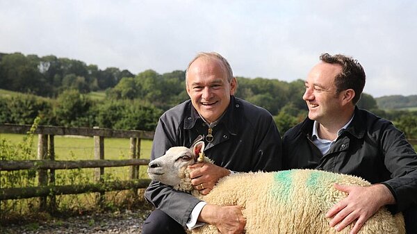 Ed Davey and Danny Chambers with a sheep