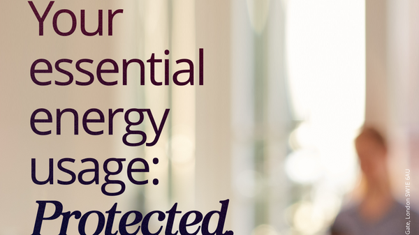 Essential Energy Guarantee