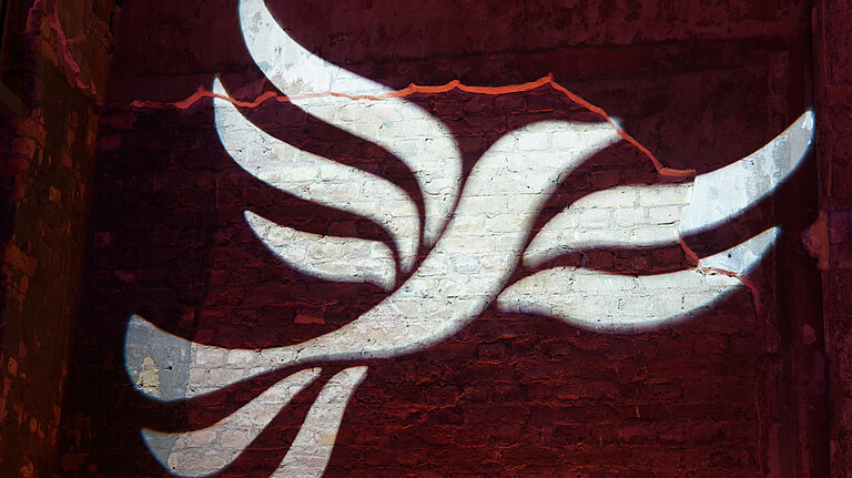 Bird of liberty The bird of liberty, projected onto a wall