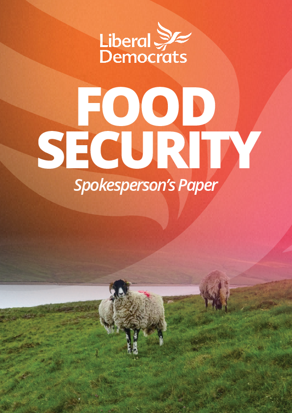 Food Security Paper PDF