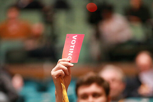 Member voting