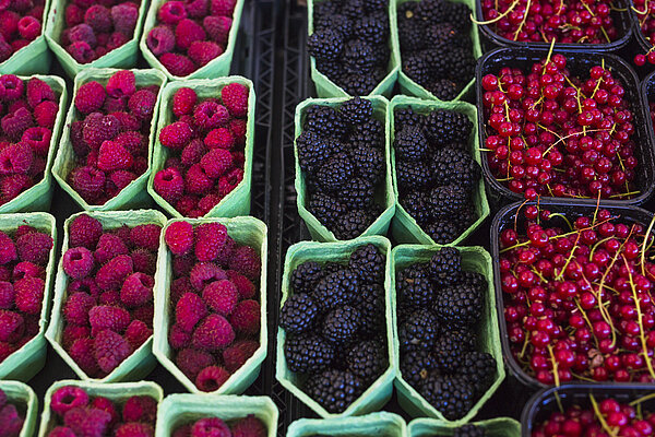 Punnets of raspberries, blackberries and redcurrants