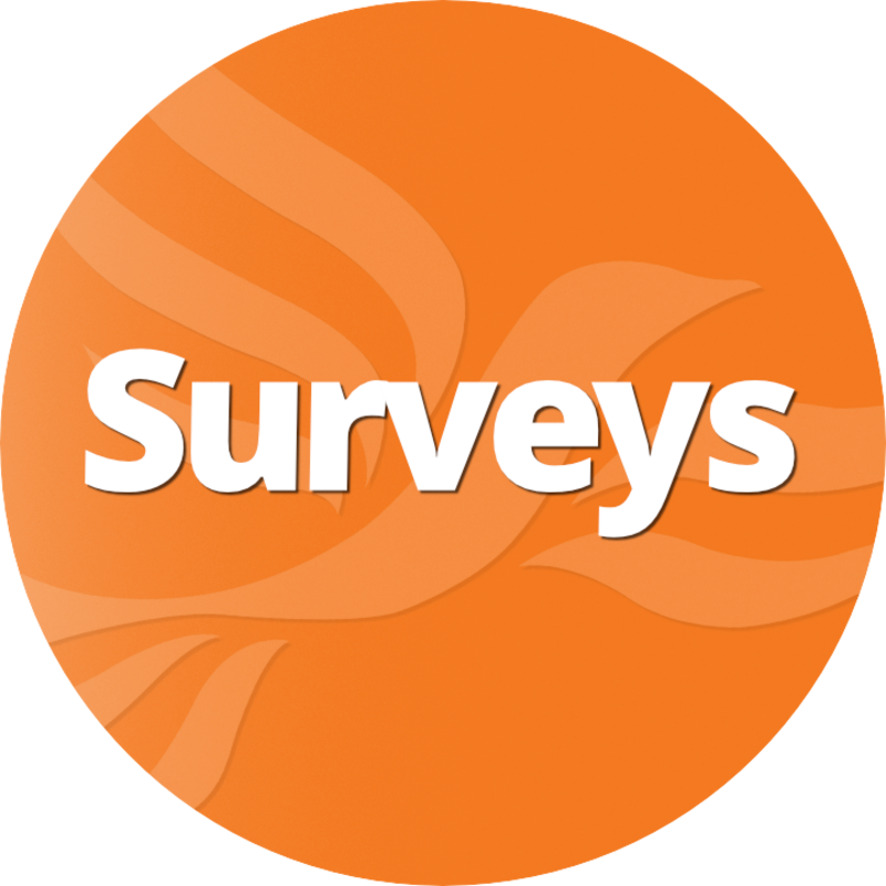 Surveys