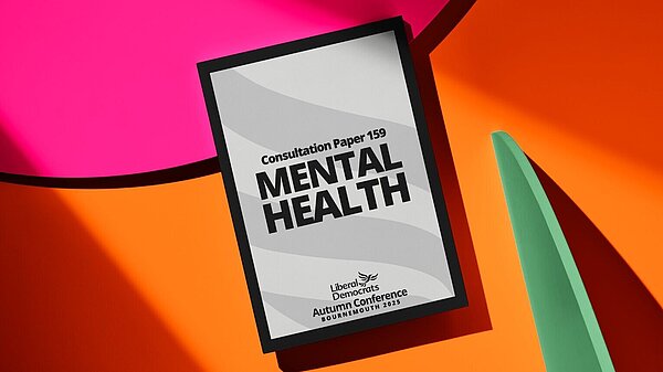 Mental Health Consultation Paper