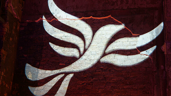 The bird of liberty, projected onto a wall
