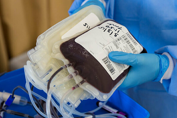 A person in scrubs and medical gloves holding a bag of donated blood