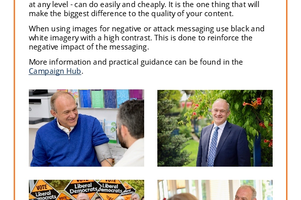 Liberal Democrat Brand Guidelines
